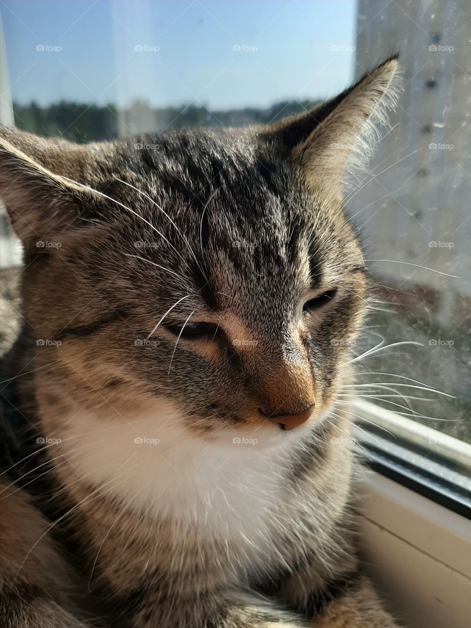 С  утречком!