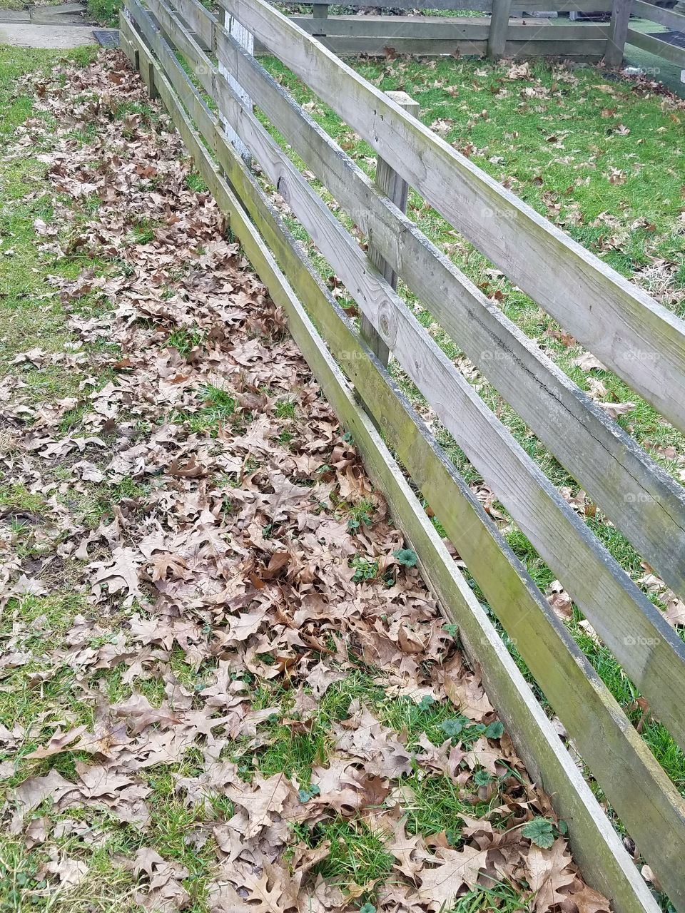 fence