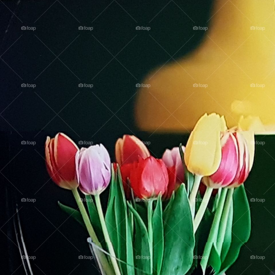 En vacker konstrast med en senapsgul loppisfynd lampa & en blomsterbukett med tulpaner i skimrande färger