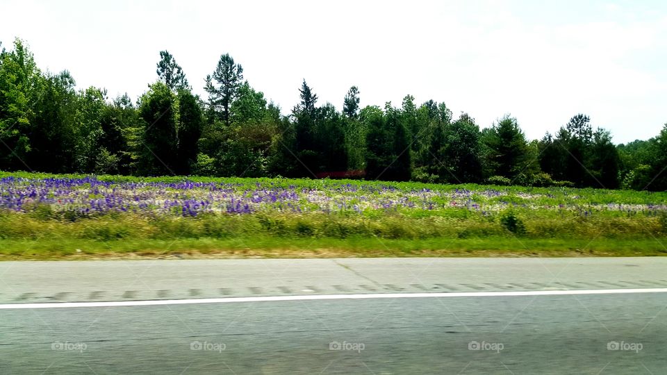 I-85 North Carolina
