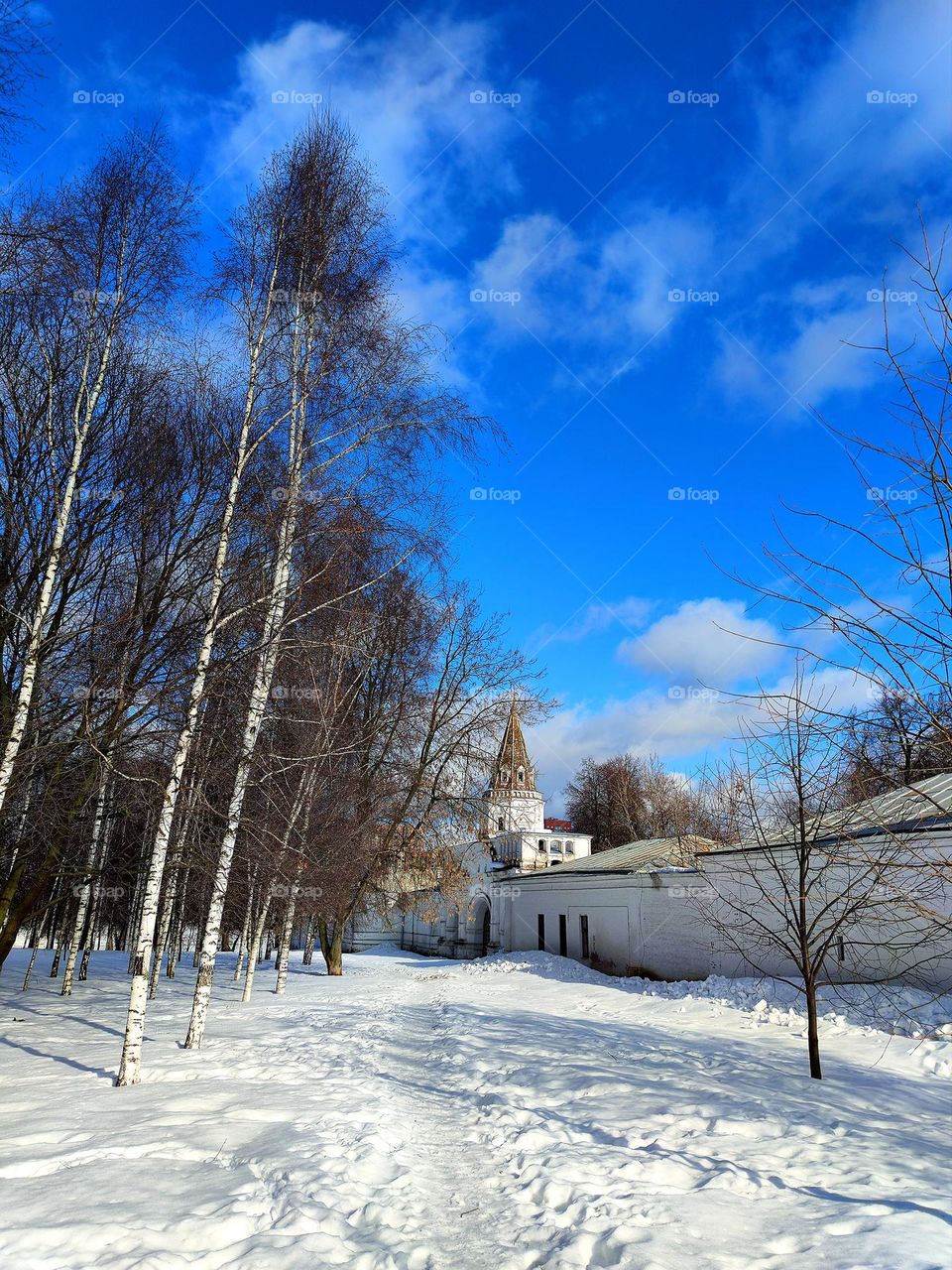 Spring.  White birches, snow that is starting to melt, blue sky with white clouds and a white wall with a tower