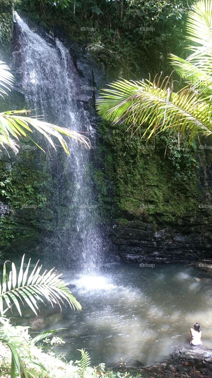 Falls of Fairies. trip to Puerto Rico