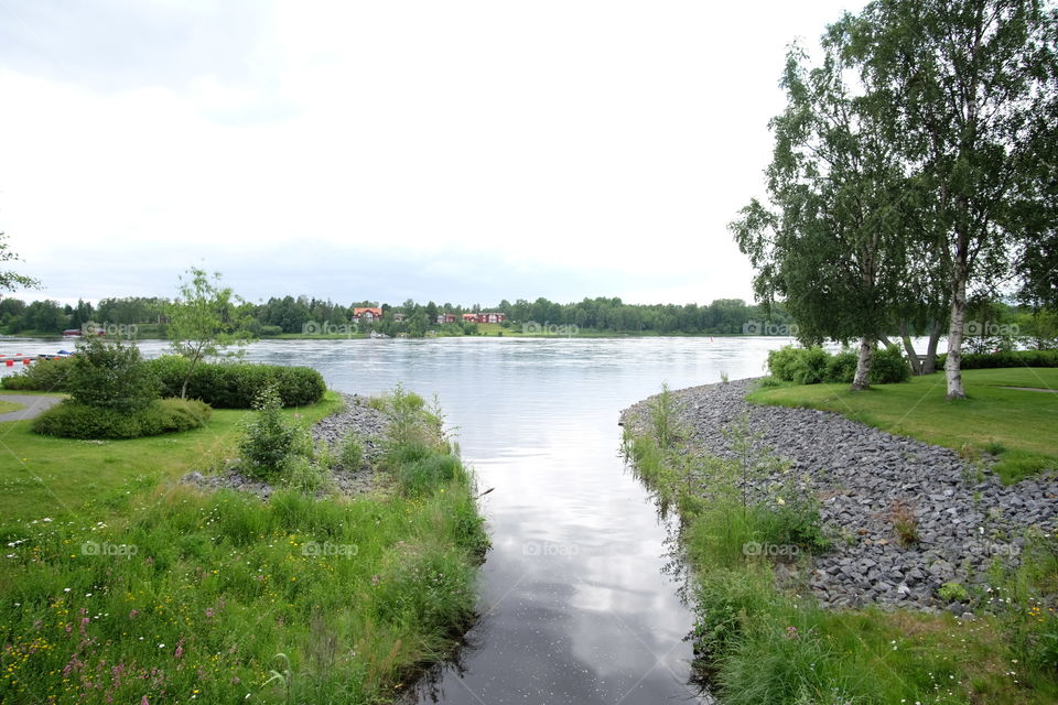 Landscape, Water, Grass, Tree, No Person