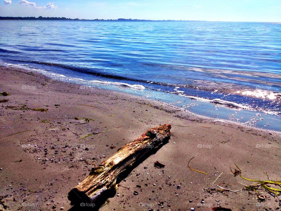 Wood drifting ashore