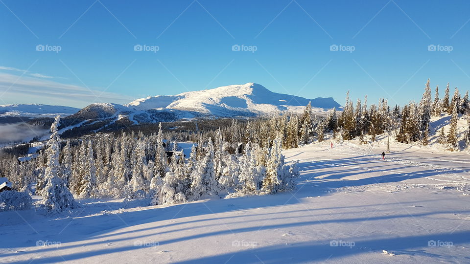 Scenic view of winter
