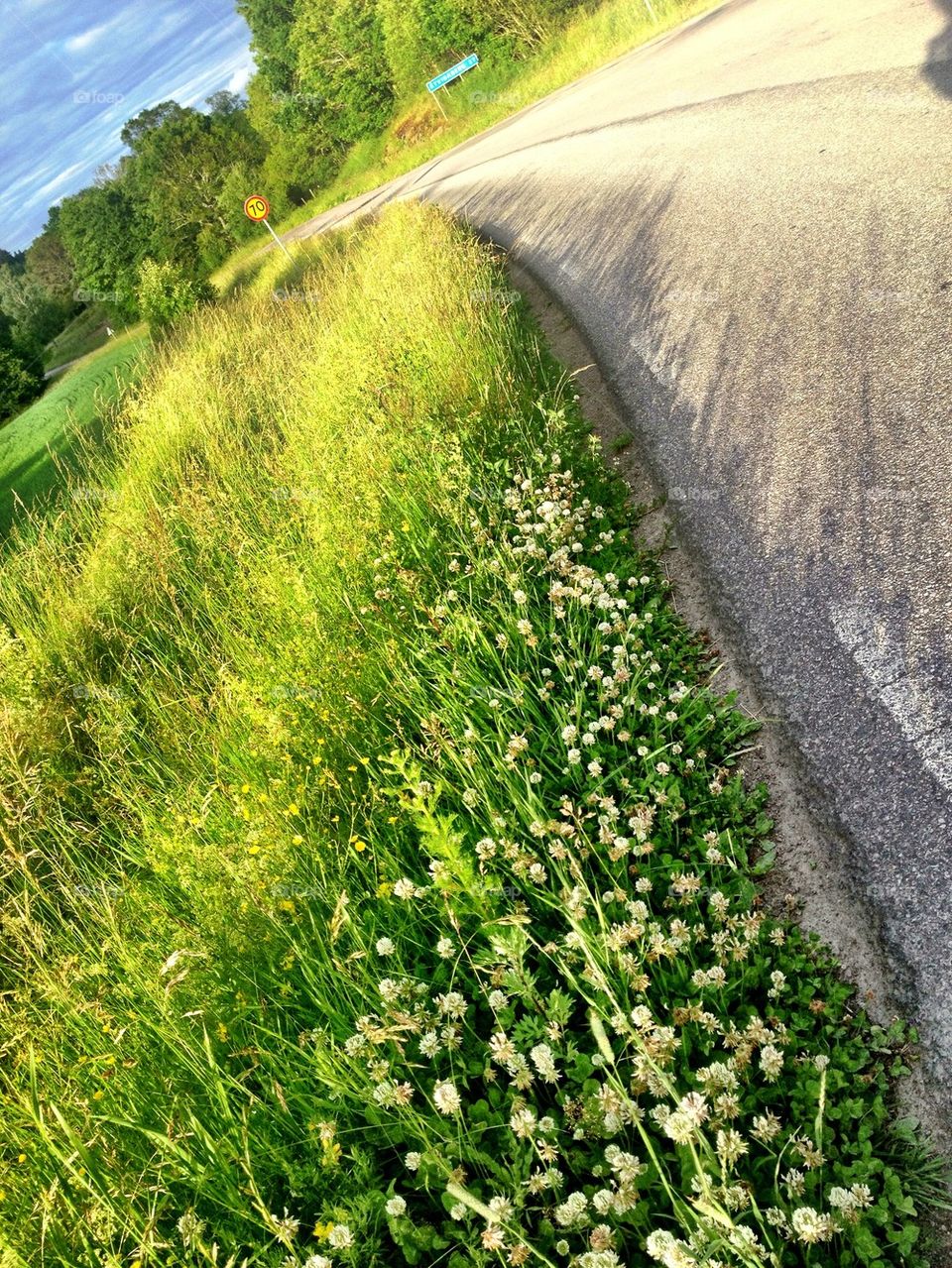 A summer evening walk