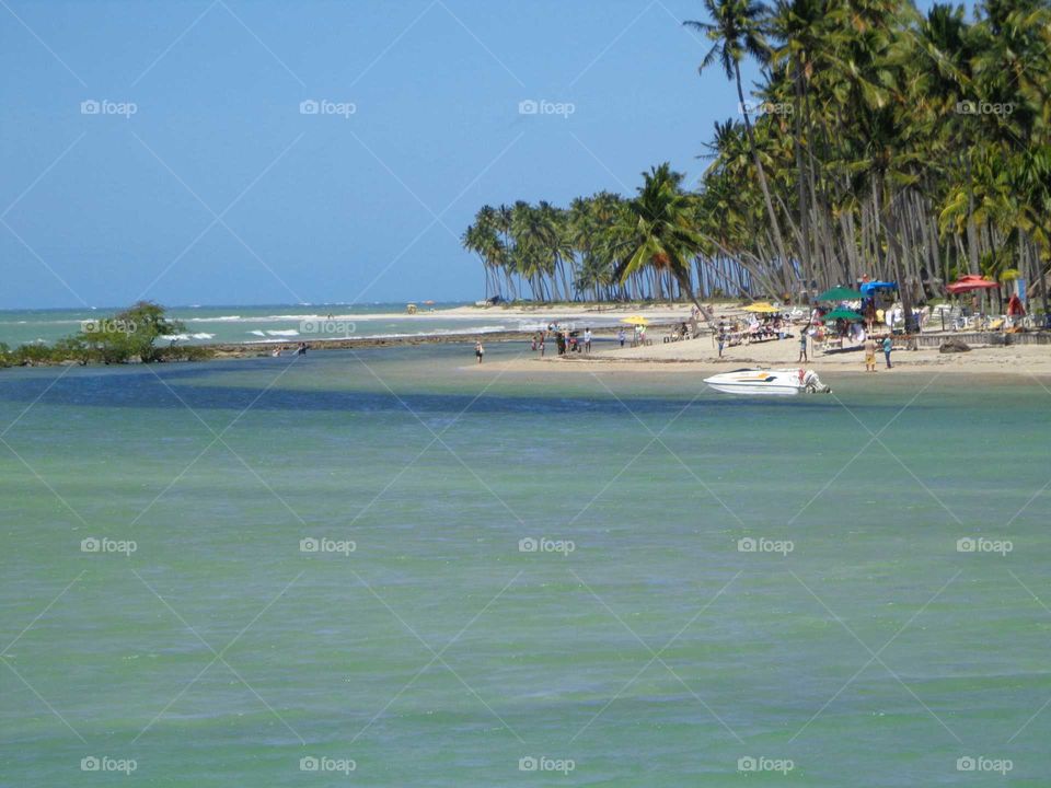 Beach of Carneiros
Pernambuco, Brazil