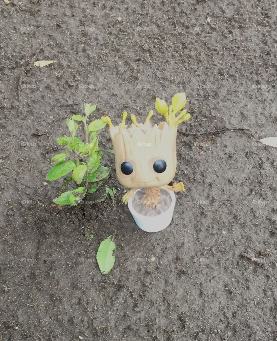 Baby Groot finds a friend 