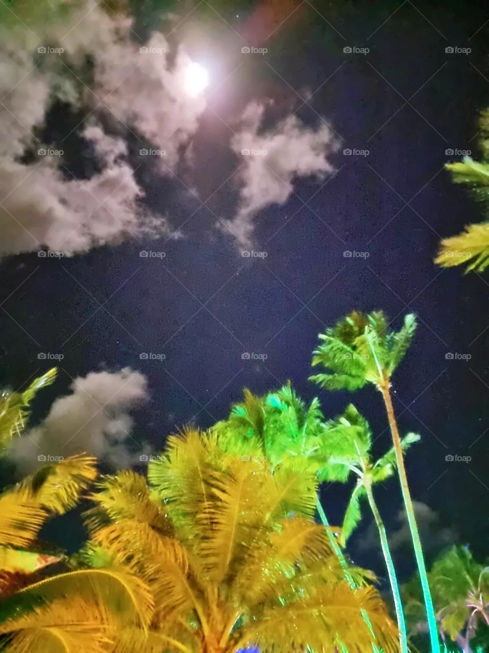 dusk shine ramadan faith month nasa water crater circle phase detail crescent galaxy glow vector glowing mystical natural calm romantic clouds eclipse celestial sunrise mountain orbit cloudscape evening star tranquil midnight landscape sphere beautif
