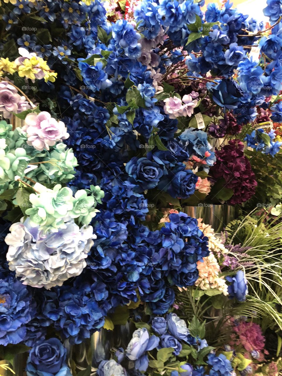 Blue Hues of Flowers