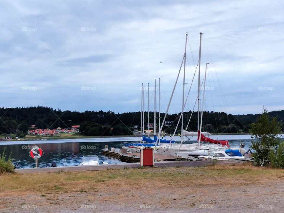 Summer evening at the marina