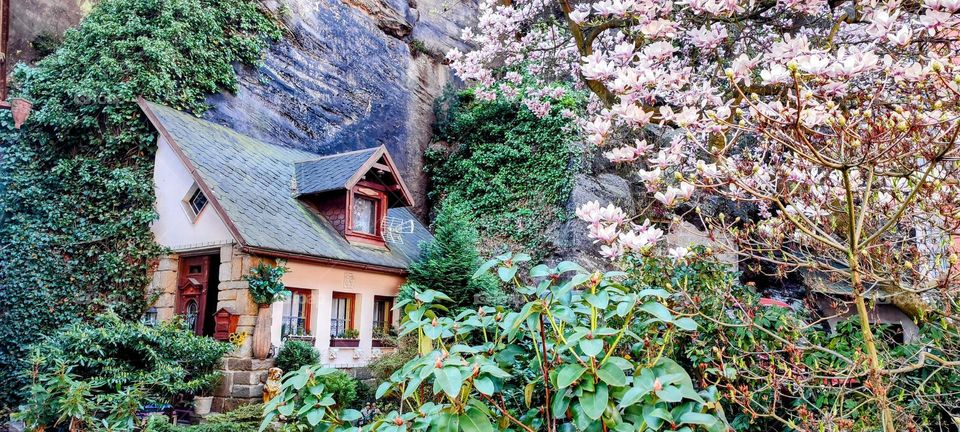 Spring paradise corner