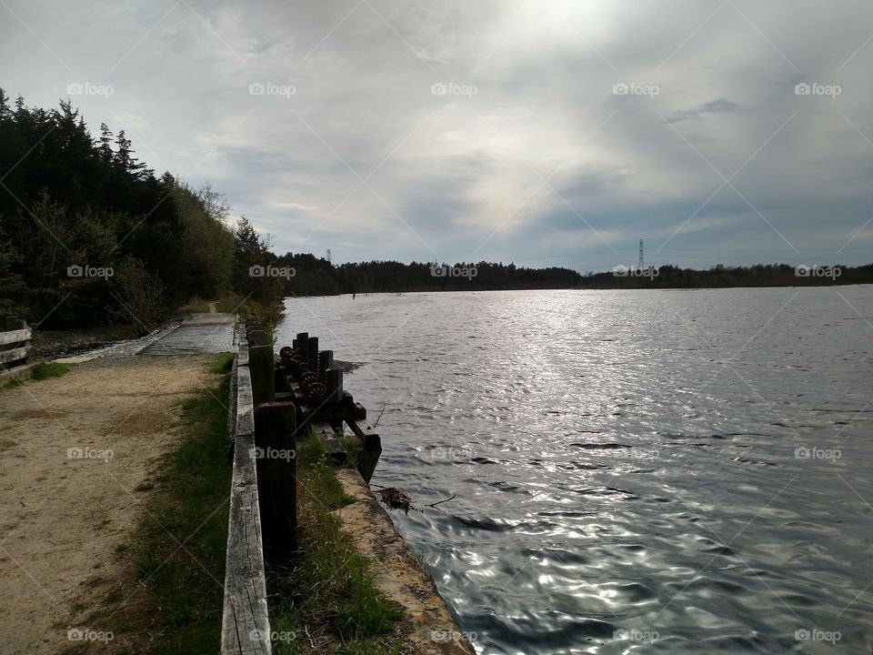 Flooded cranberry bogs in Ocean County, NJ
