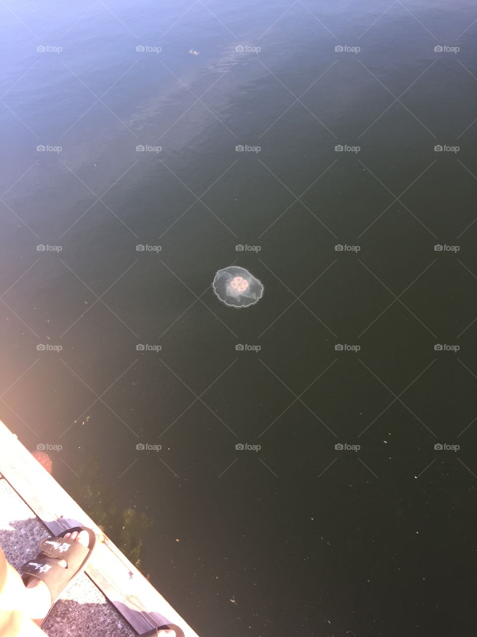 Astronomy, Moon, No Person, Sky, Space