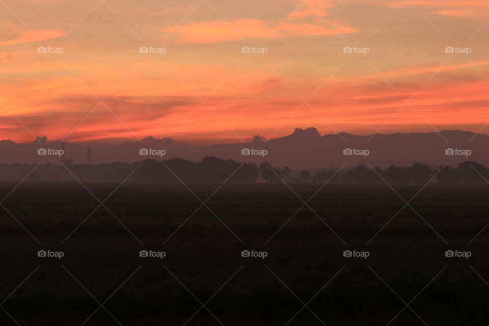Misty Dawn at the Fields