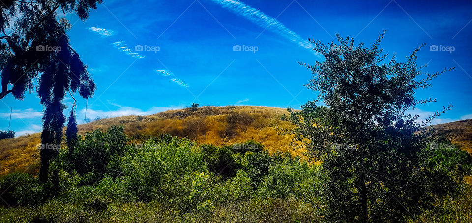 Elysian Park Los Angeles Scenery