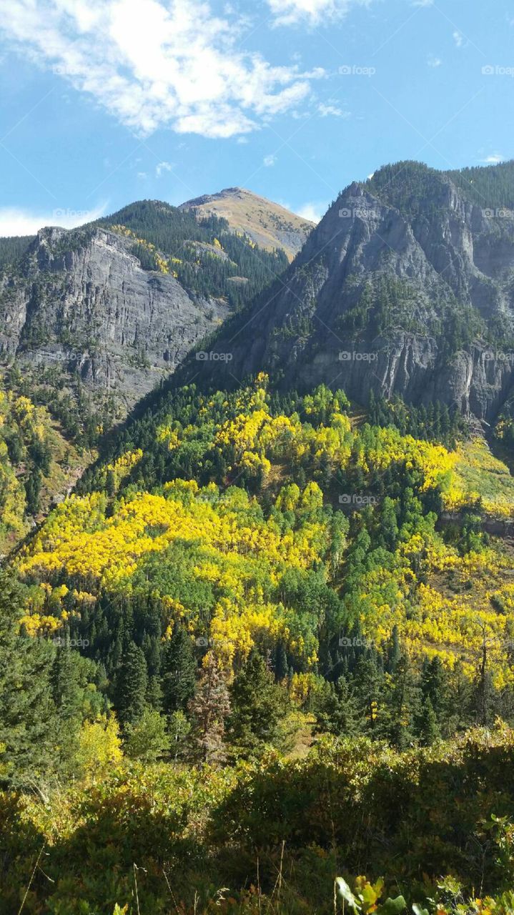 Mountain, Landscape, Wood, Nature, Travel