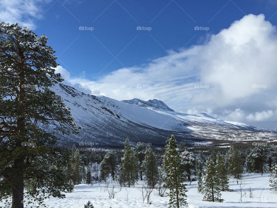 Skiing in Narvik 