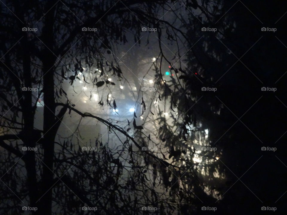 foggy road behind trees, some city lights and traffic visible