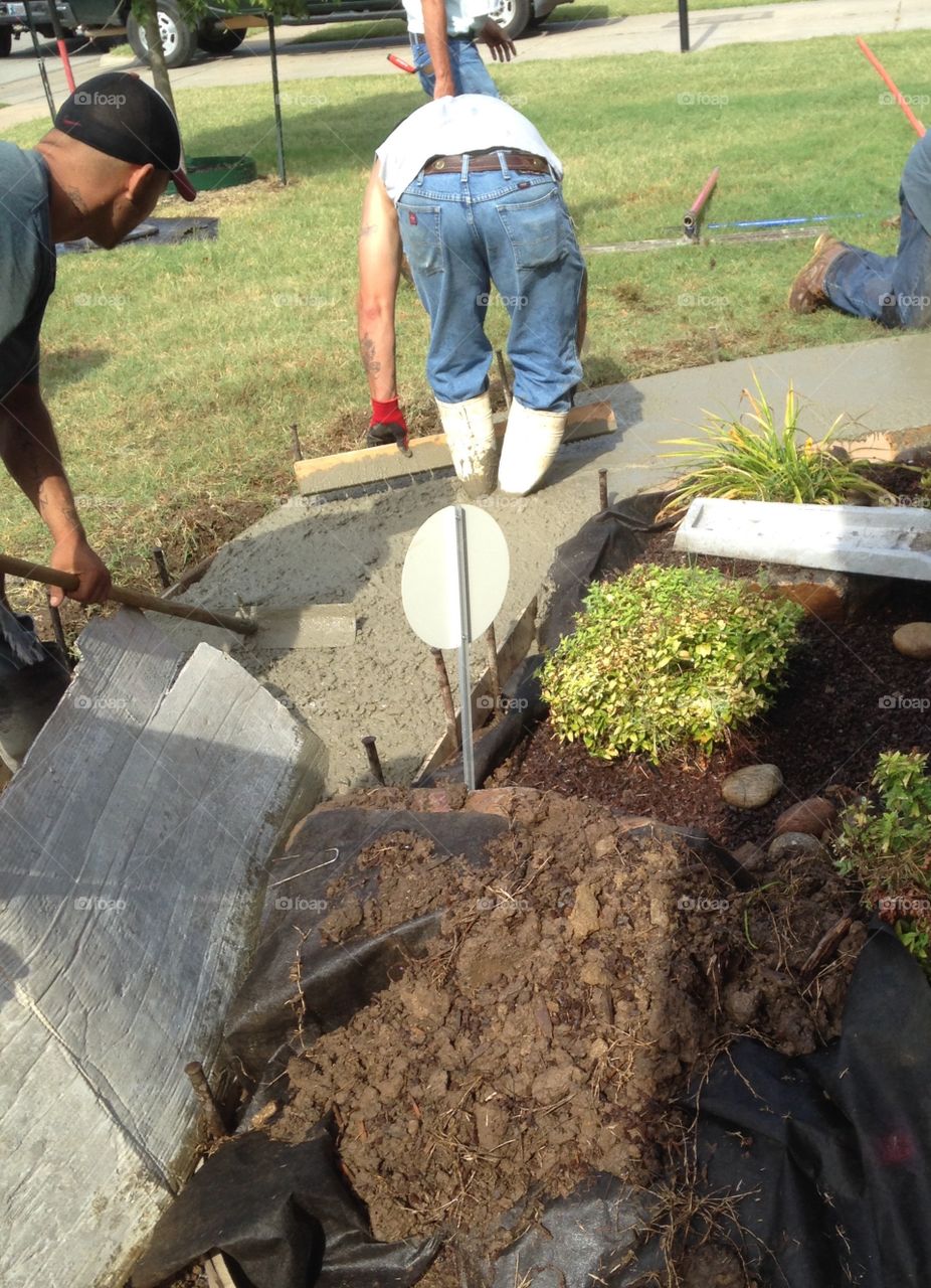 Men leveling wet concrete walk way while standing boot deep and using a wood board and tools