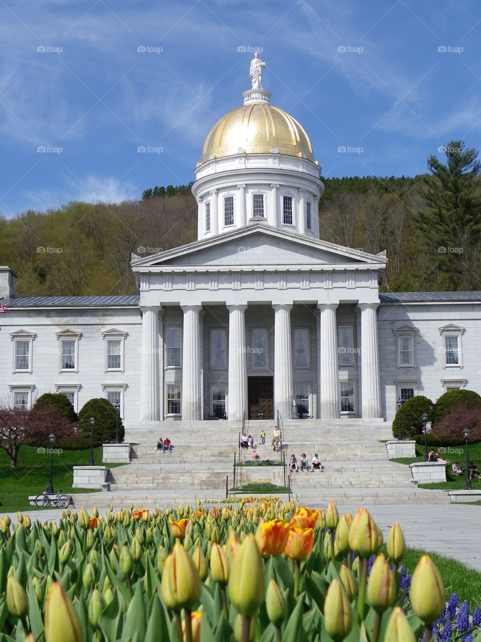 Montpelier Spring . Capitol building of Montpelier, Vermont in spring with tulips in the front yard