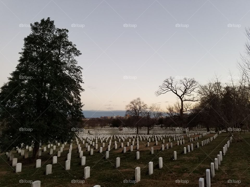 rows of tombstones at Arlington national cemetery