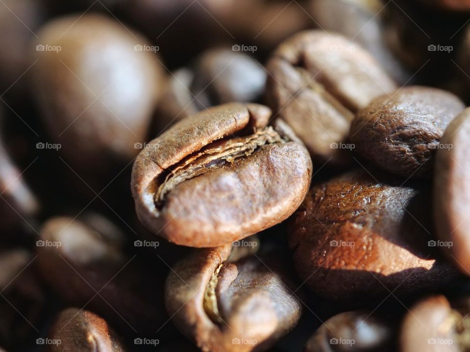 Close up of coffee beans