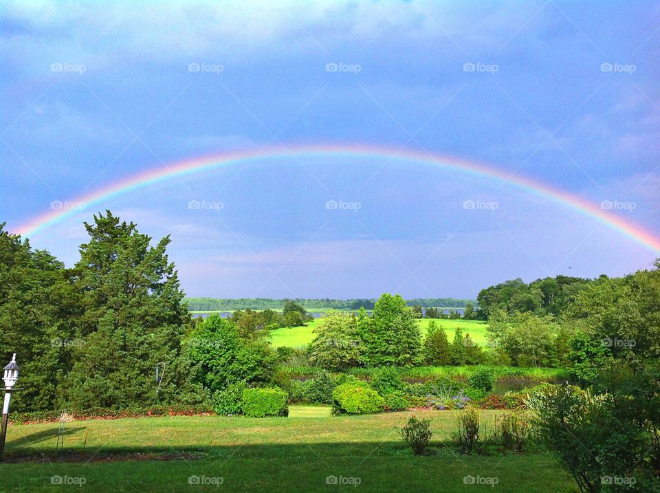 Rainbow over the meadow