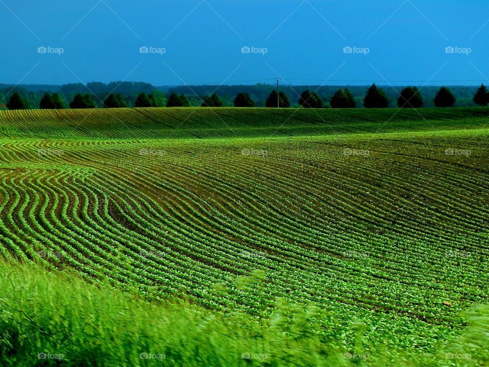 Landscape in early autumn