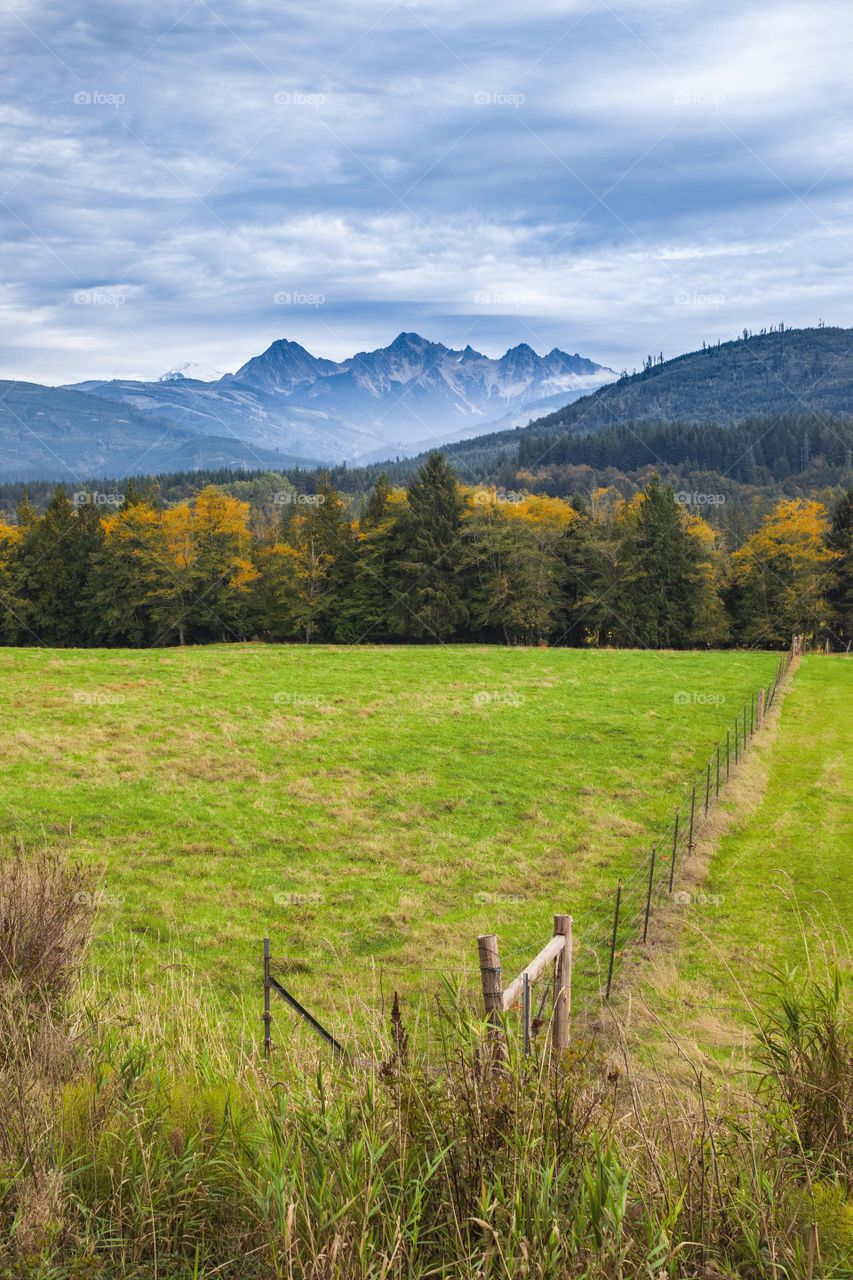 Jagged mountains loom in the distance with golden fall colors lighting up the forest