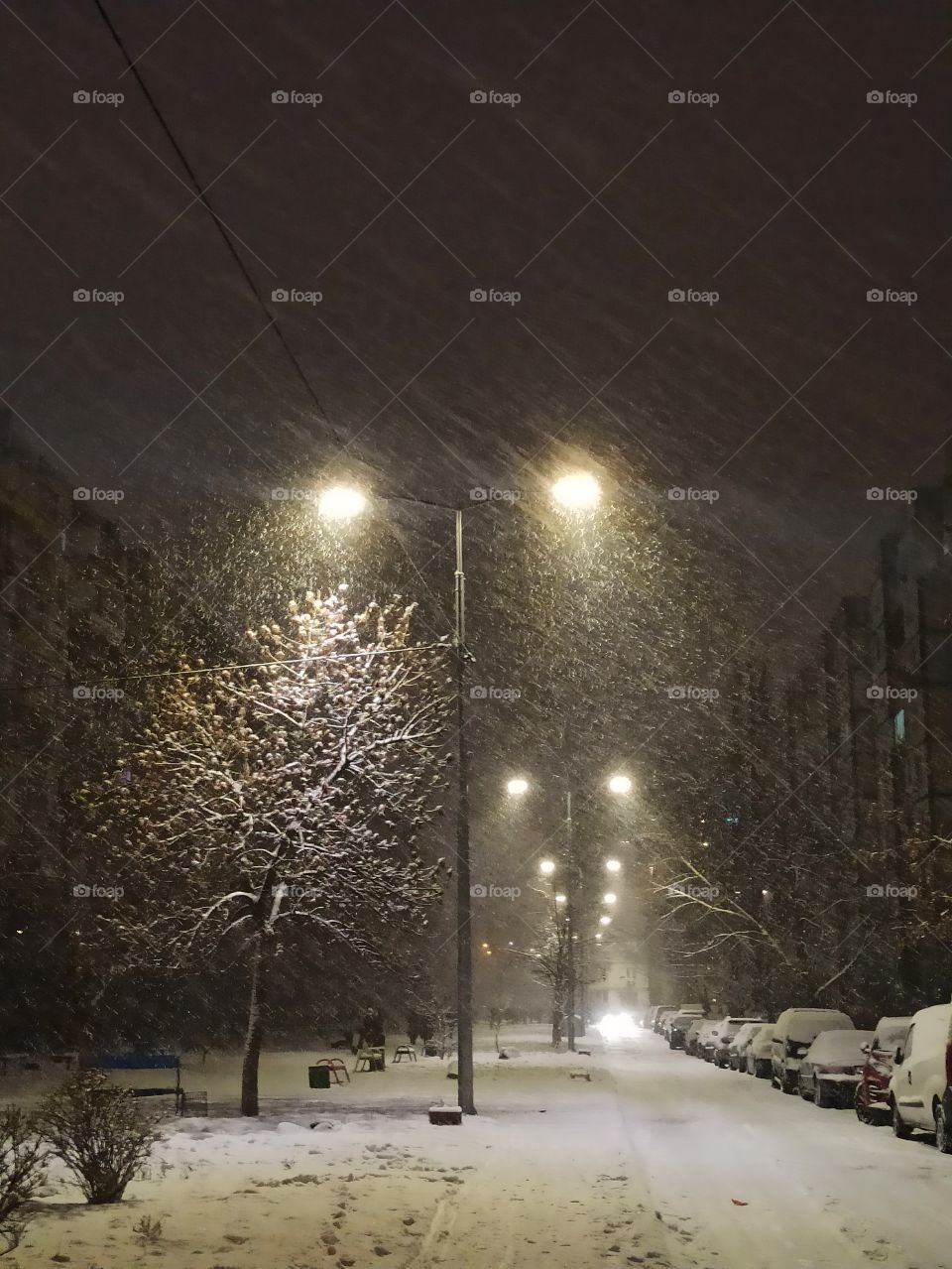 Фонари. Зимний вечер. Снег идёт.