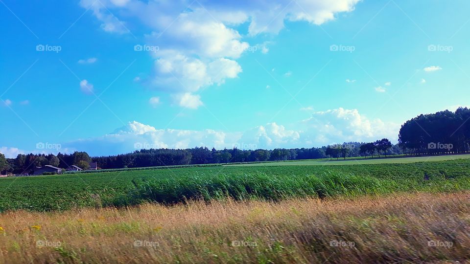 Landscape, No Person, Agriculture, Countryside, Nature