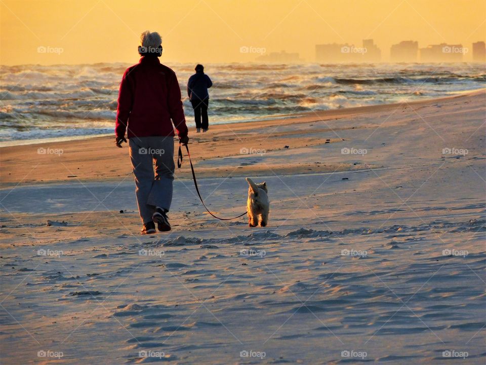 walking our dogs alone the beach on a warm summer 
