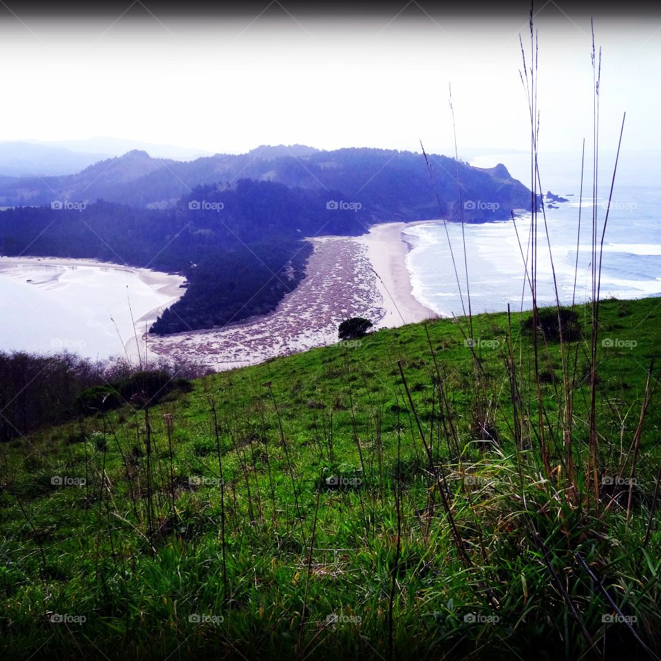 Cascade head