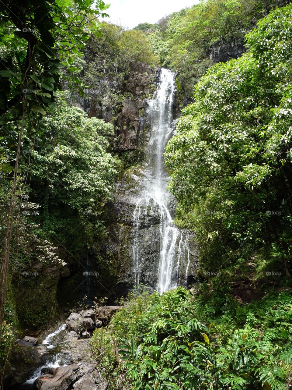 Maui, HI