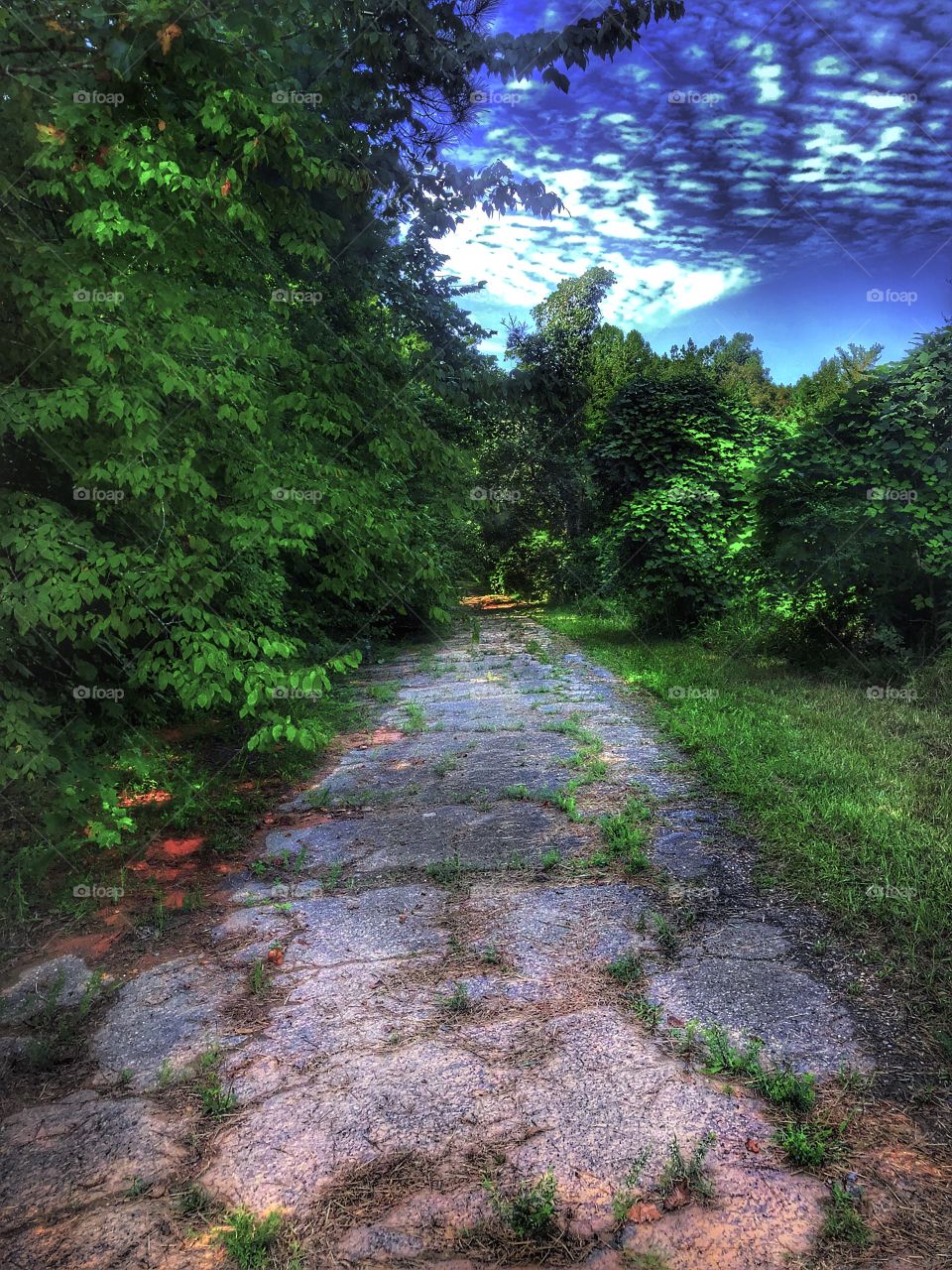 You can come with me...