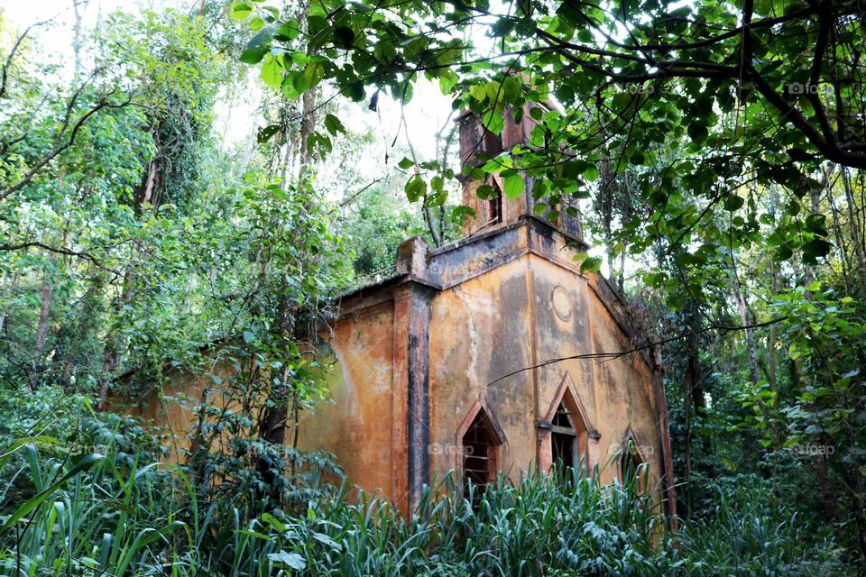 Old misterious church in the forest