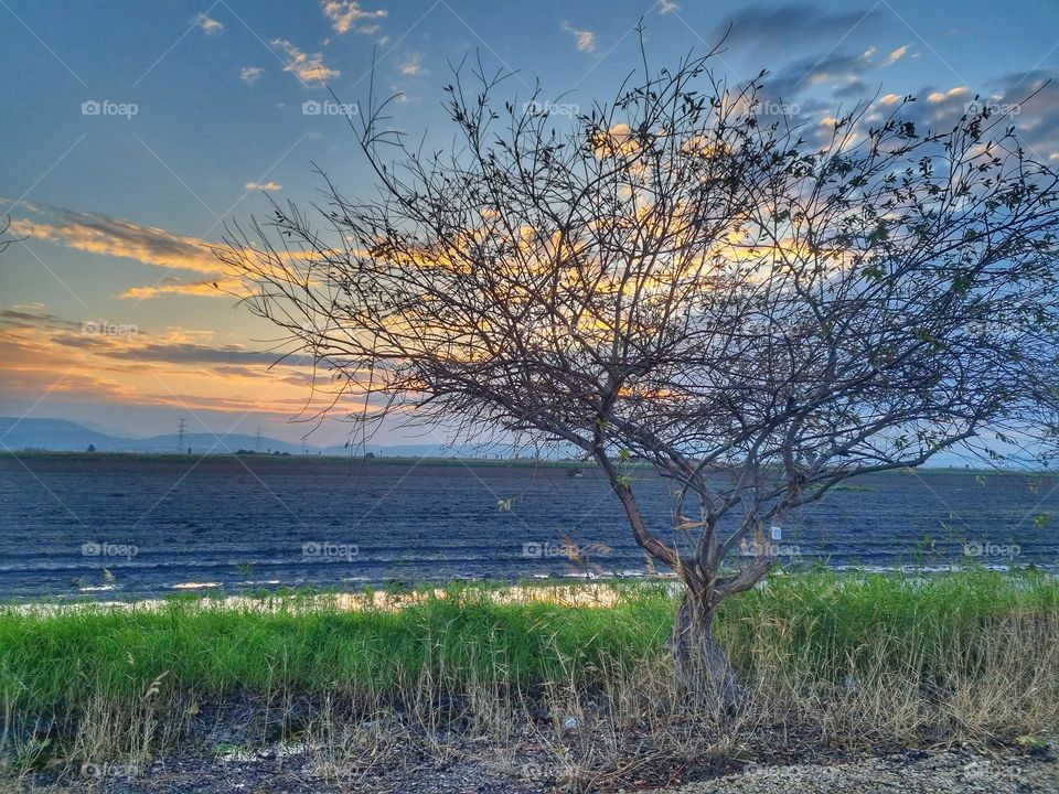 agriculture sunrise sunset sky clouds