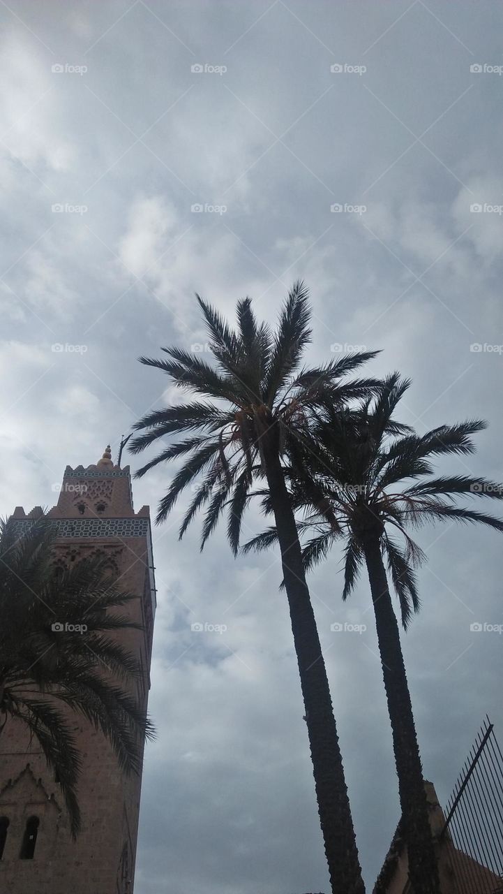 tower mosque and palm tree.