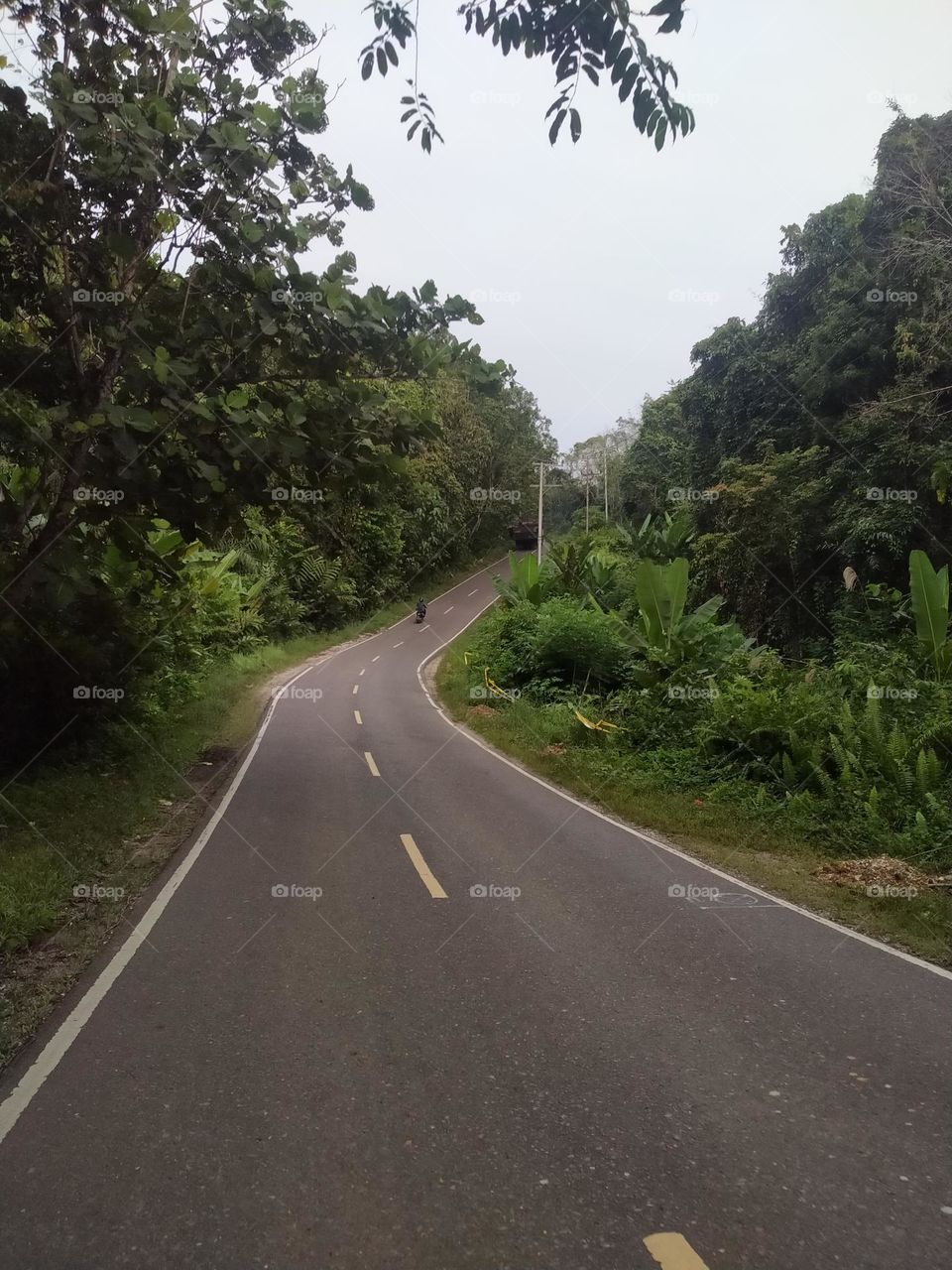 a highway in the area of ​​​​Central Kalimantan