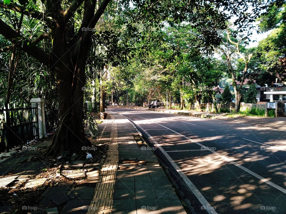 Empty road