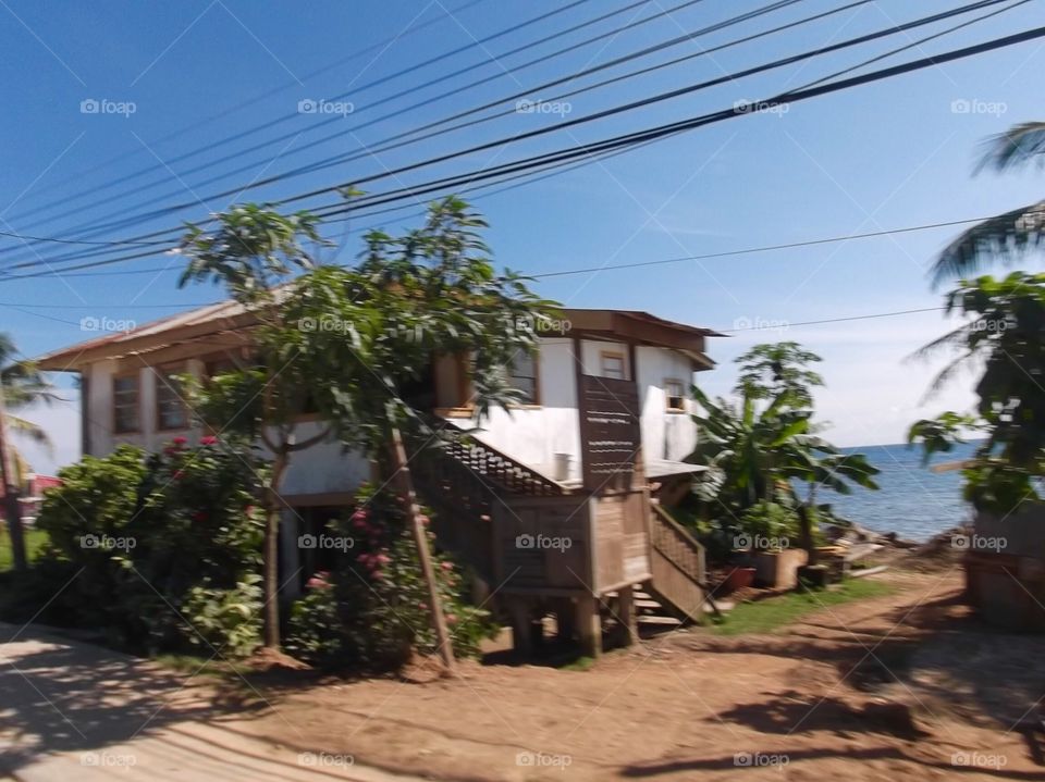 Picture from moving car traveling in Roatan Honduras  