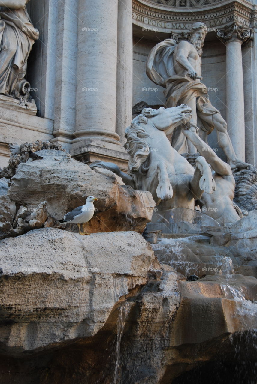 Trevi Fountain. Trevino Fountain in Rome