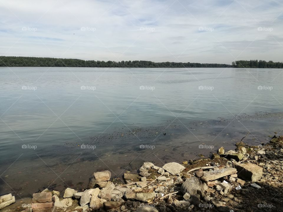River seen from the shore