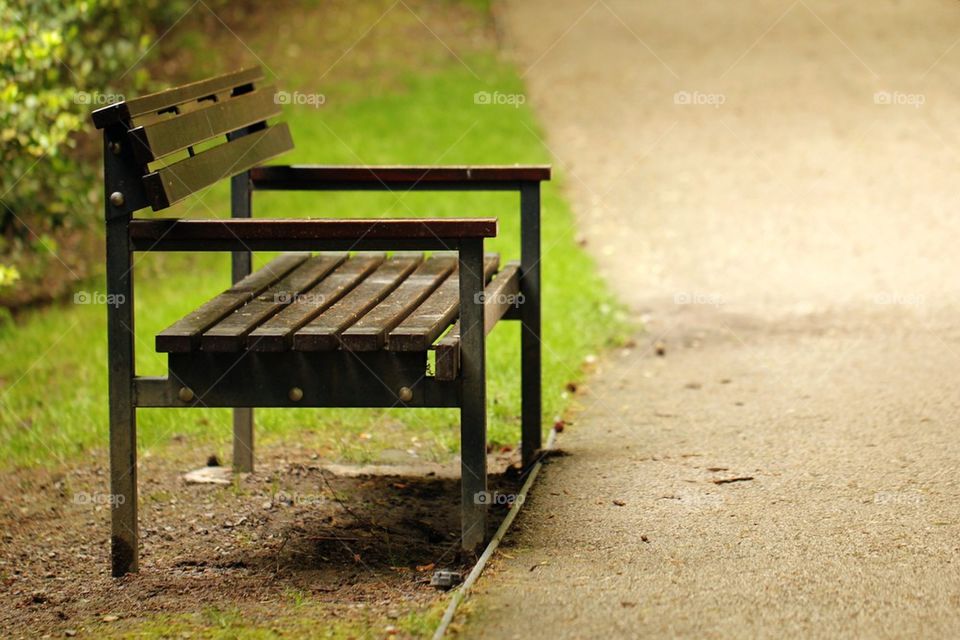 Bench in the park