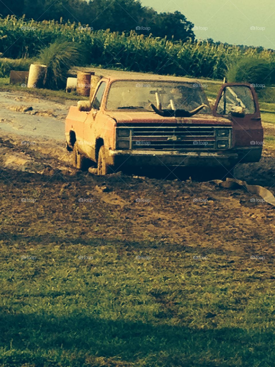 Muddin