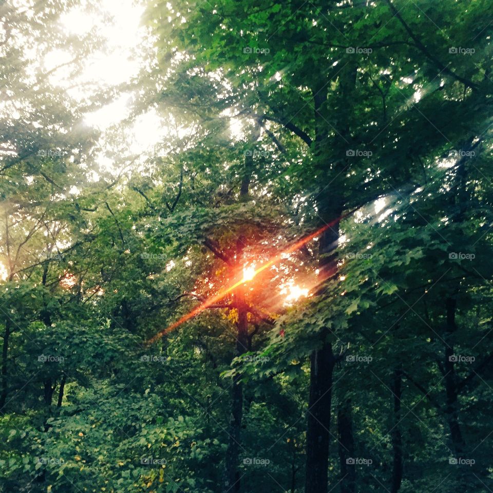 Up at dark o'clock to end my run with Jarvis following me 😊