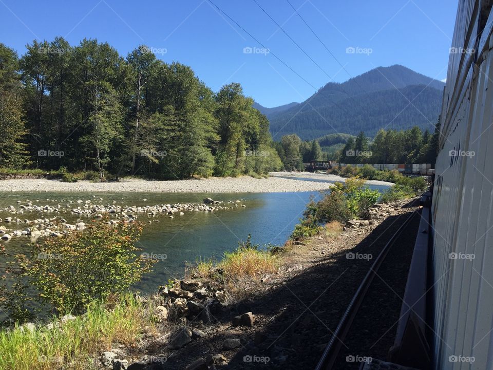 Water, Landscape, No Person, River, Tree