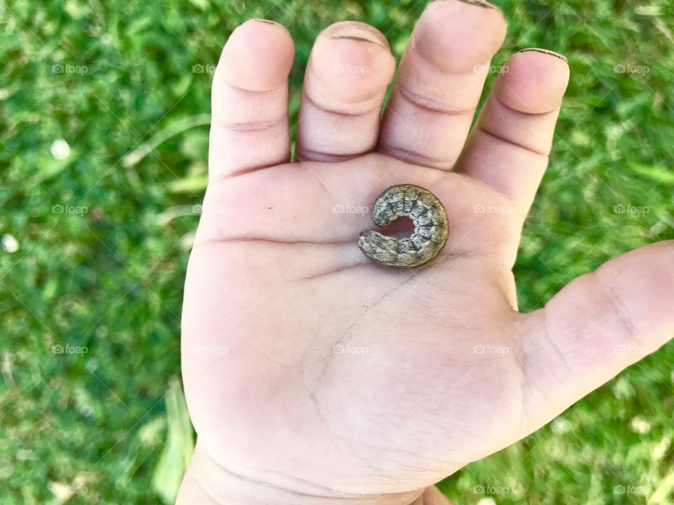 Teaching our kid to be gentle in nature. Helps them grow better. 