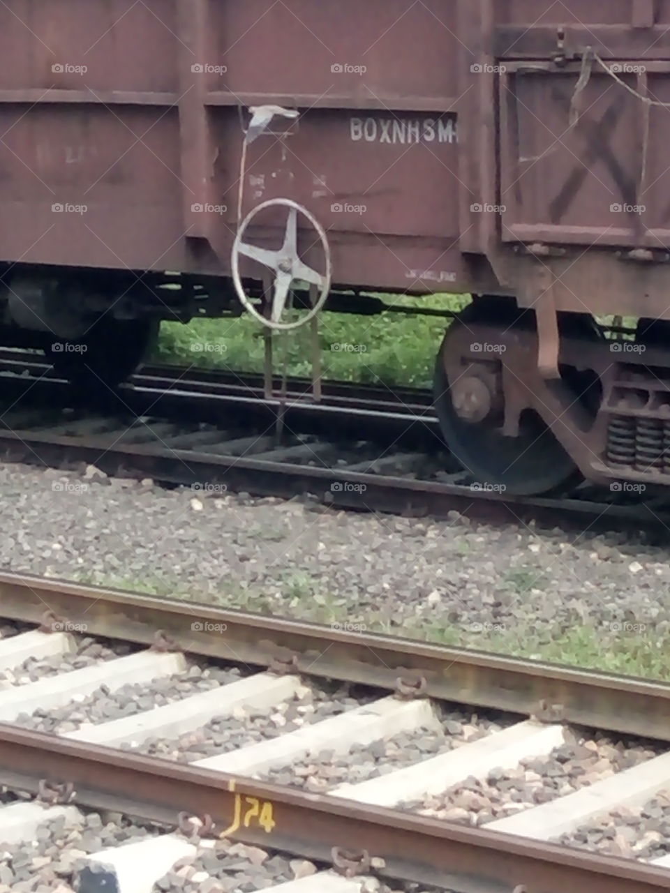 fly bird on rail way